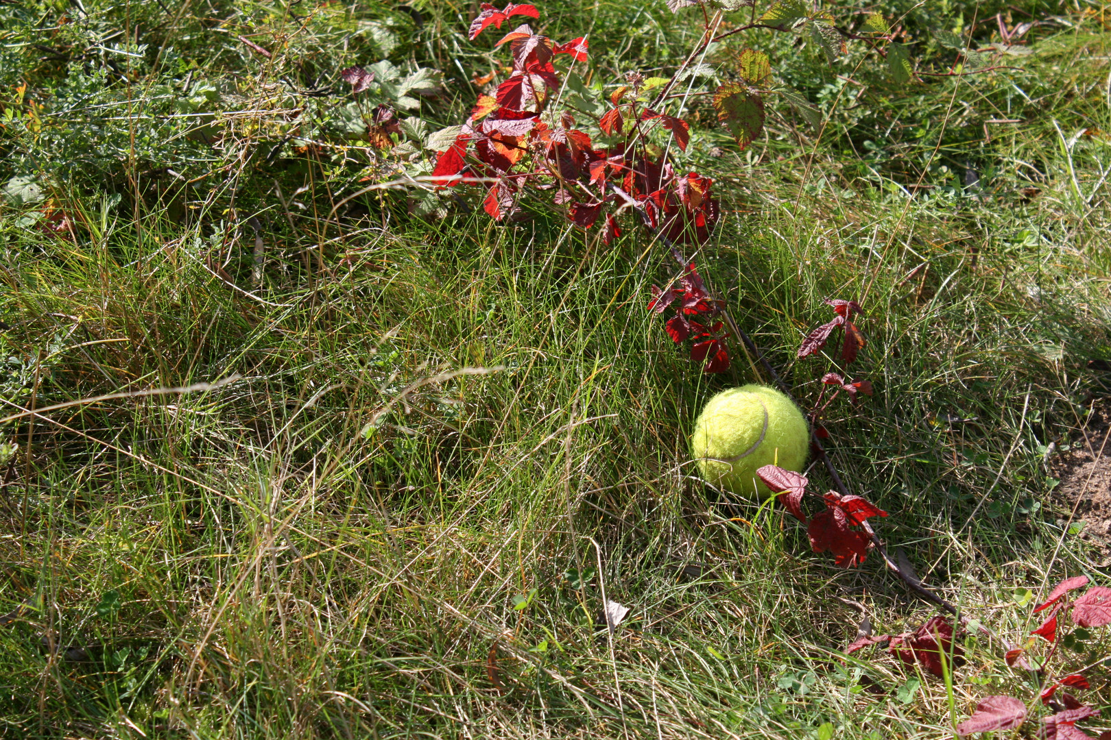 Aufschlag: Herbst