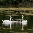 "Aufschwimmen" zum Familienfoto.