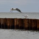 Aufsicht am Strand