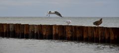 Aufsicht am Strand