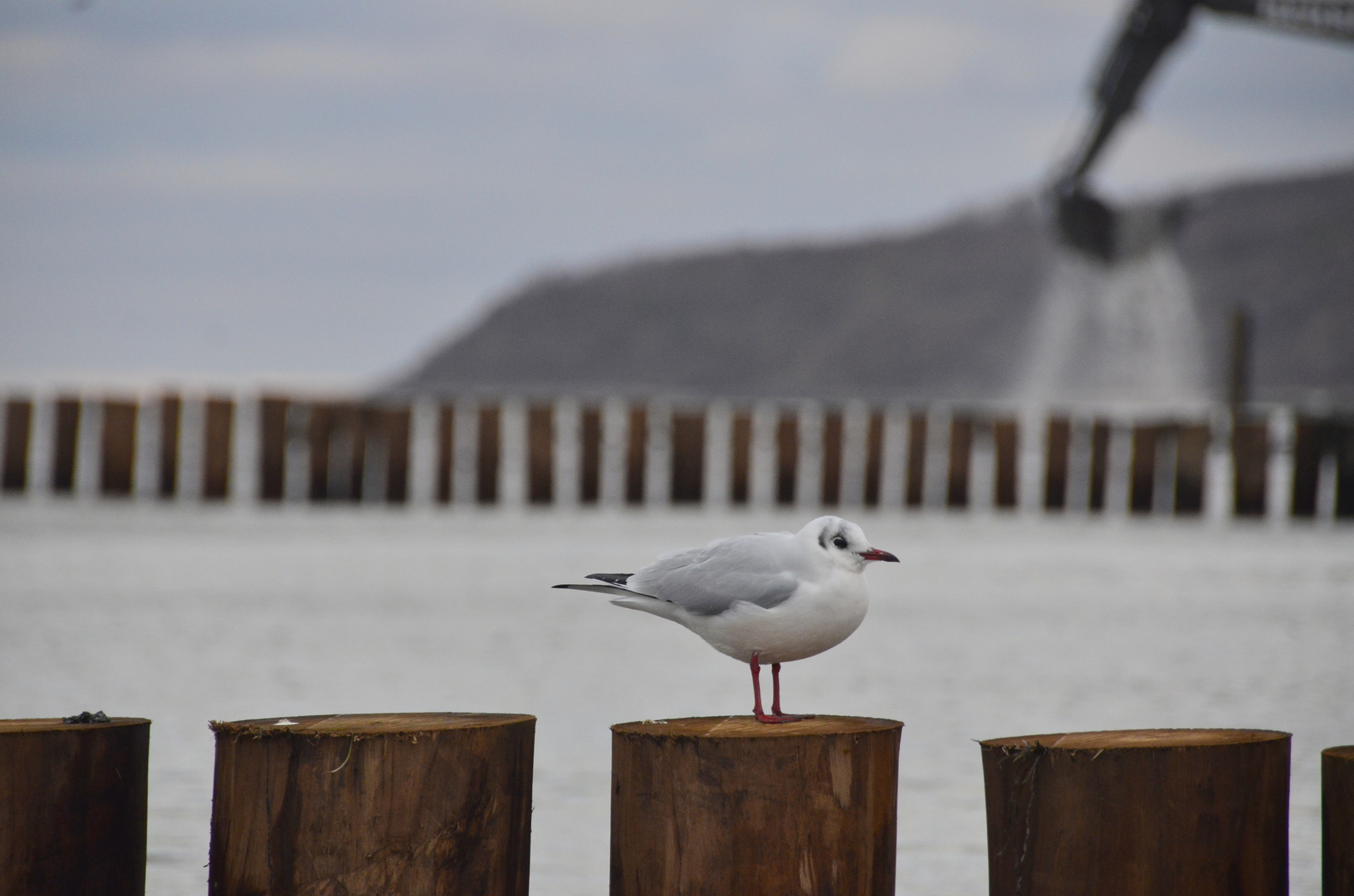 Aufsicht am Strand