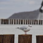 Aufsicht am Strand