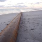 Aufspül-Pipeline am Strand