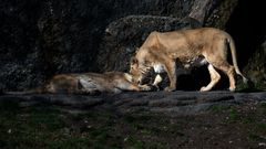 Aufstehen, die ersten Sonnenstrahlen sind da!