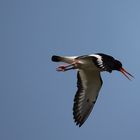 ^^^^^^   aufstehen: Montag ^^^^^^