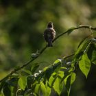 Aufsteigen und abfliegen