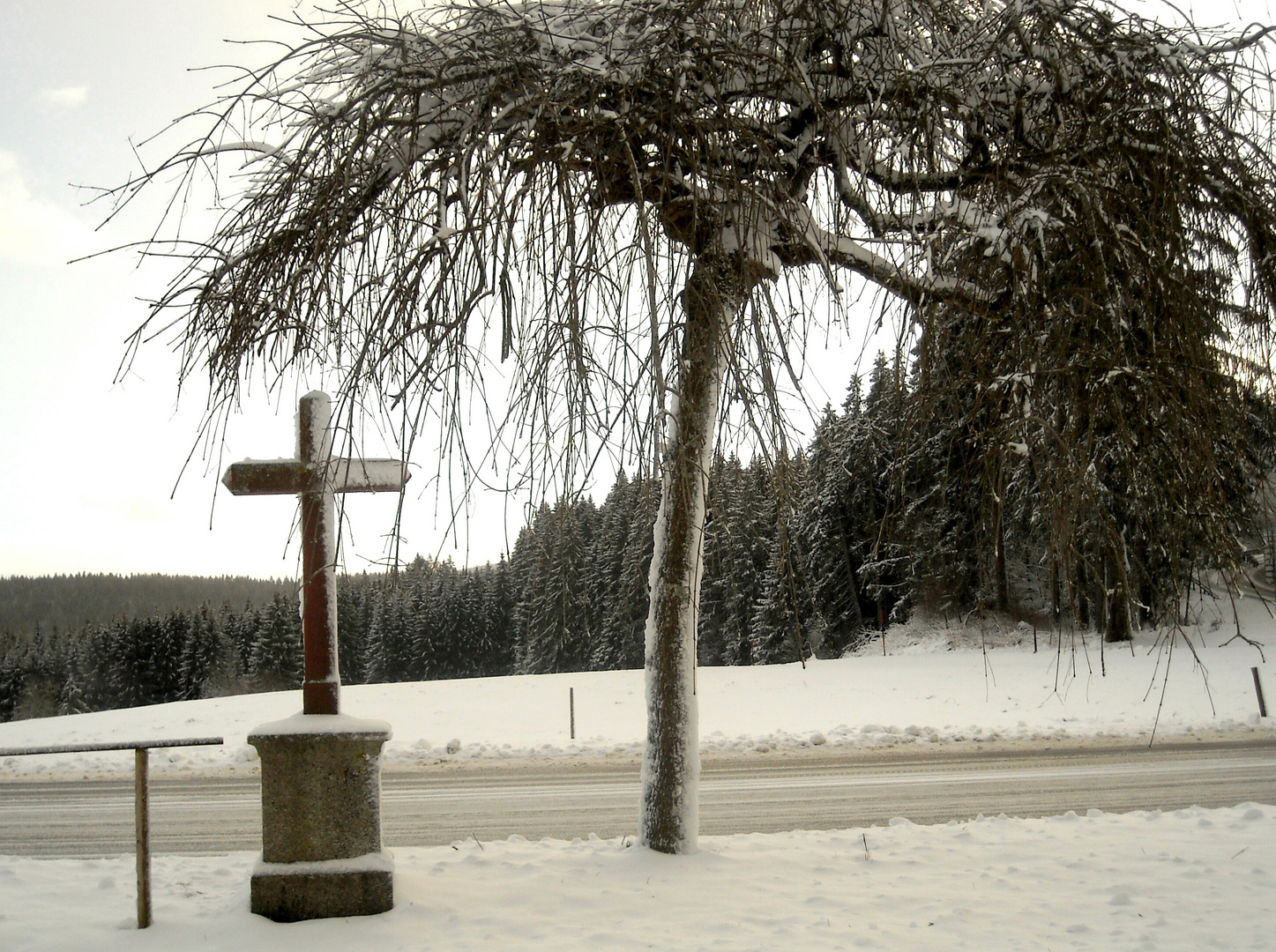 Aufsteigend, trotz der Kälte