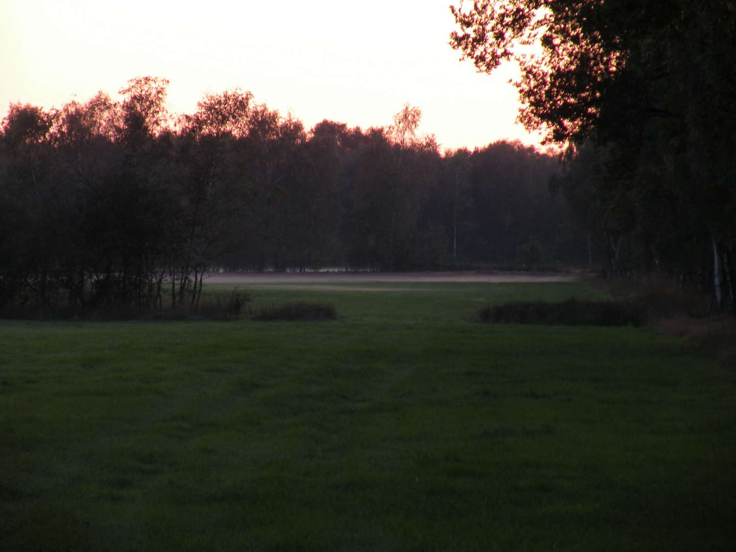 Aufsteigende Abendnebel über den Wiesen .Es geht gerade die Sonne unter.