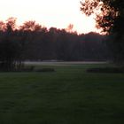 Aufsteigende Abendnebel über den Wiesen .Es geht gerade die Sonne unter.