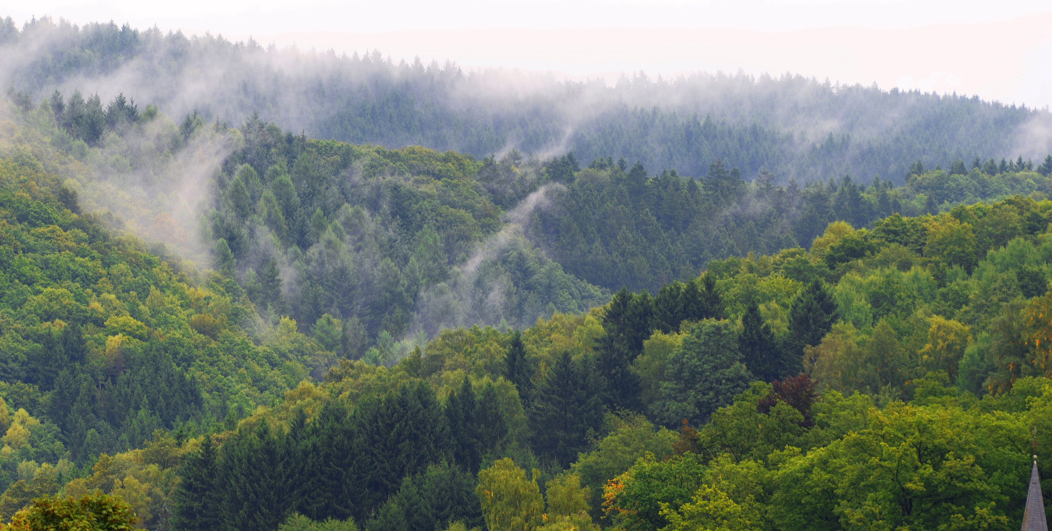 aufsteigende Nebel aus frühherbstlichem Mischwald