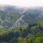 aufsteigende Nebel aus frühherbstlichem Mischwald