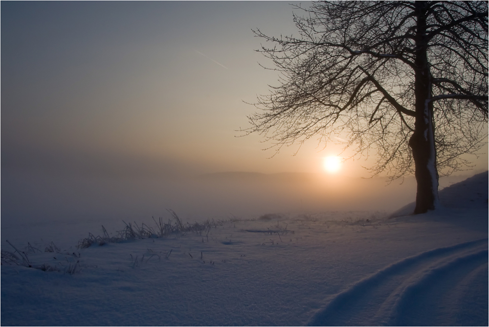 Aufsteigende Nebel