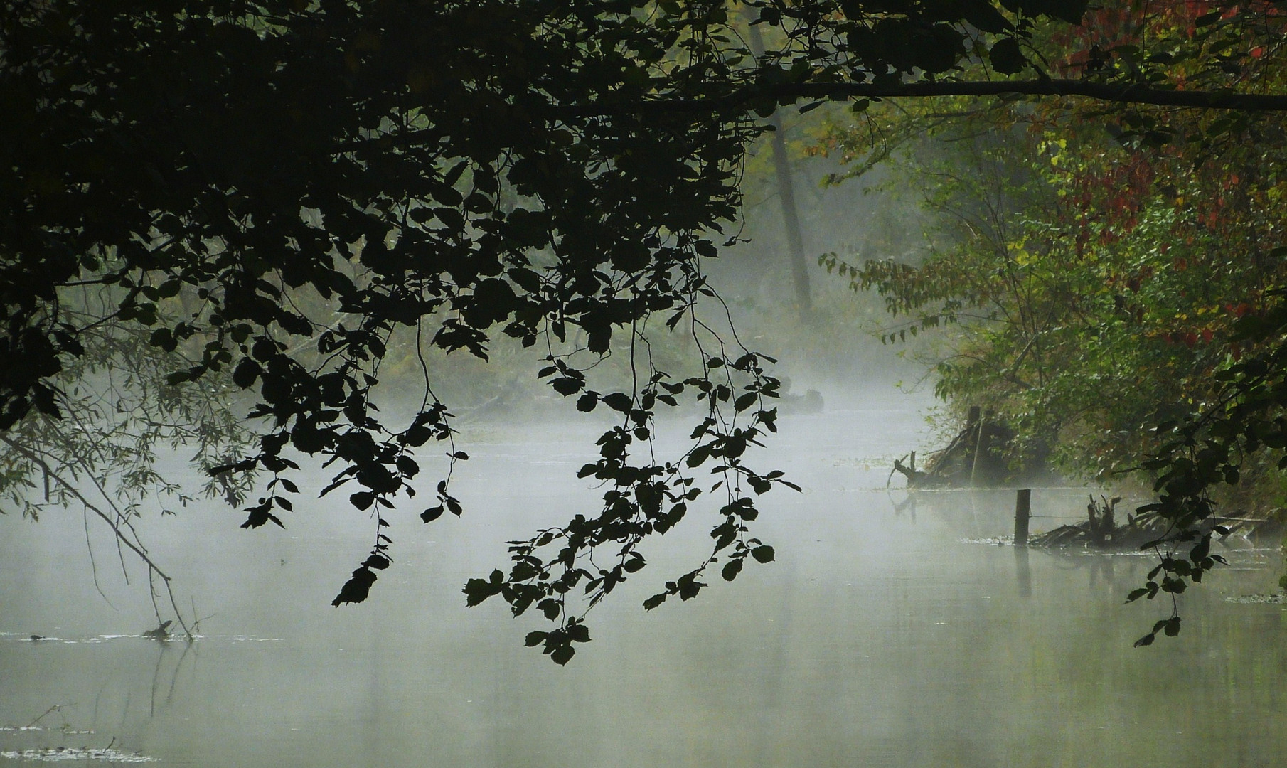 Aufsteigende Nebel...