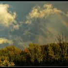 Aufsteigende Wolken