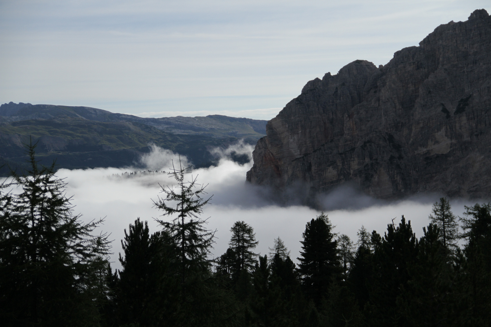 Aufsteigender Frühnebel