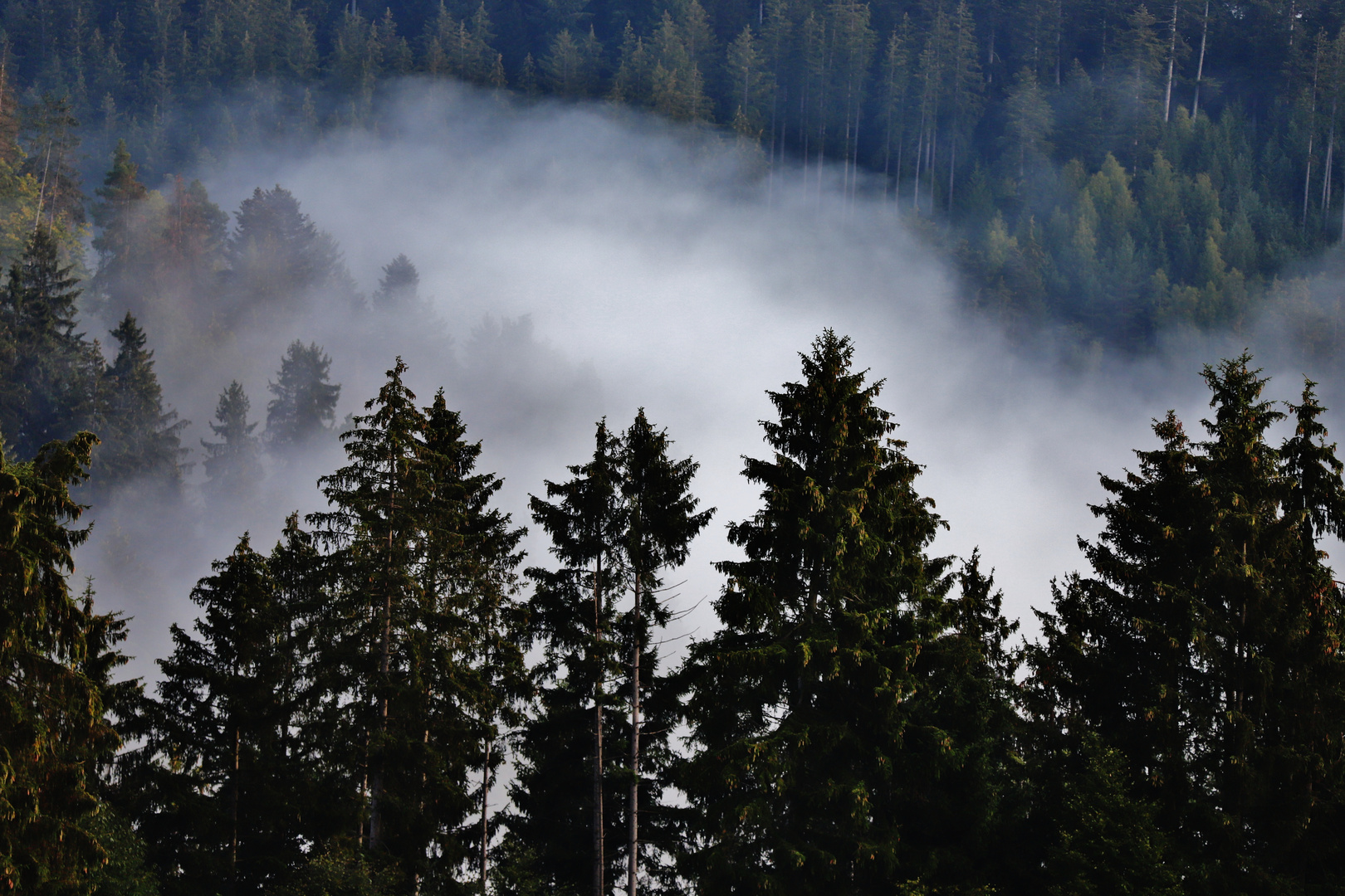 Aufsteigender Herbstnebel...