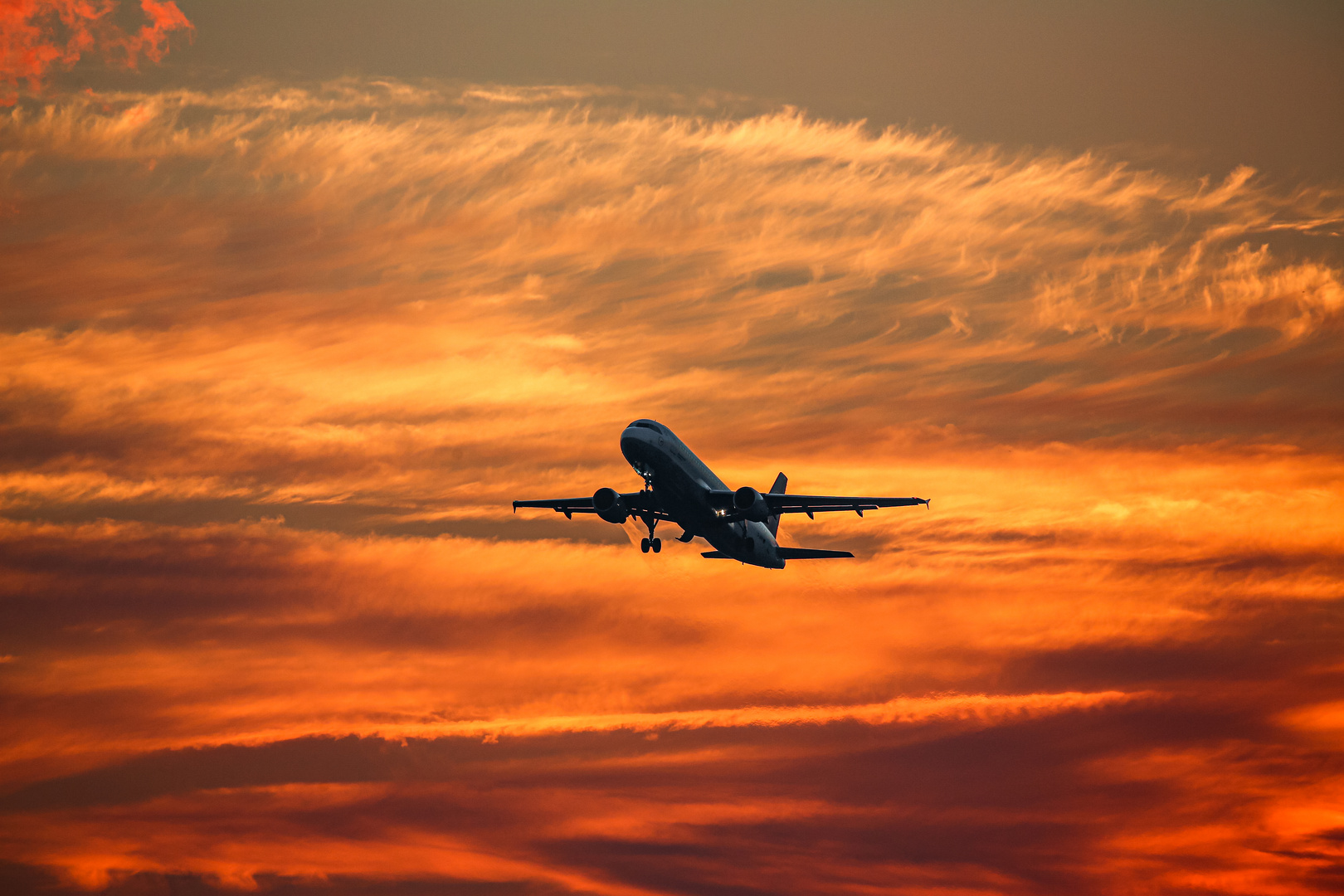 Aufsteigender Kranich-Flieger