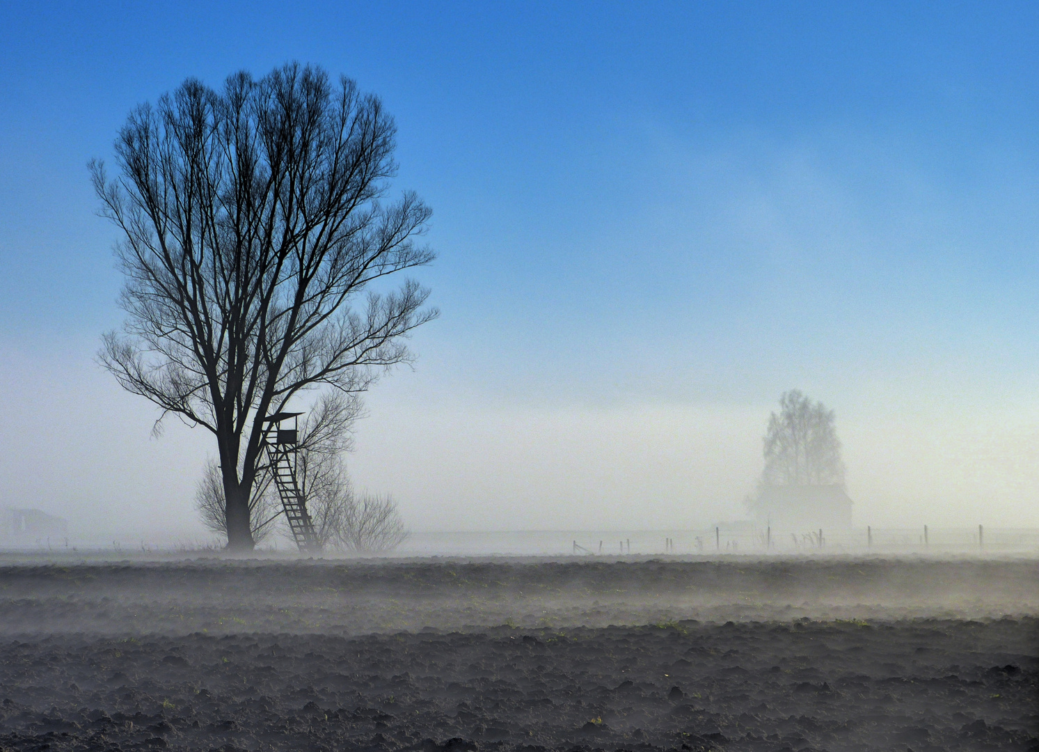 Aufsteigender Morgennebel ...