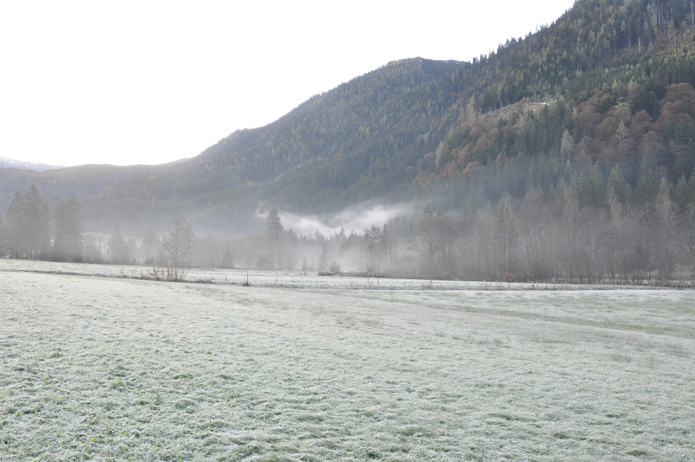 aufsteigender Morgennebel