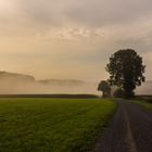 AUFSTEIGENDER MORGENNEBEL