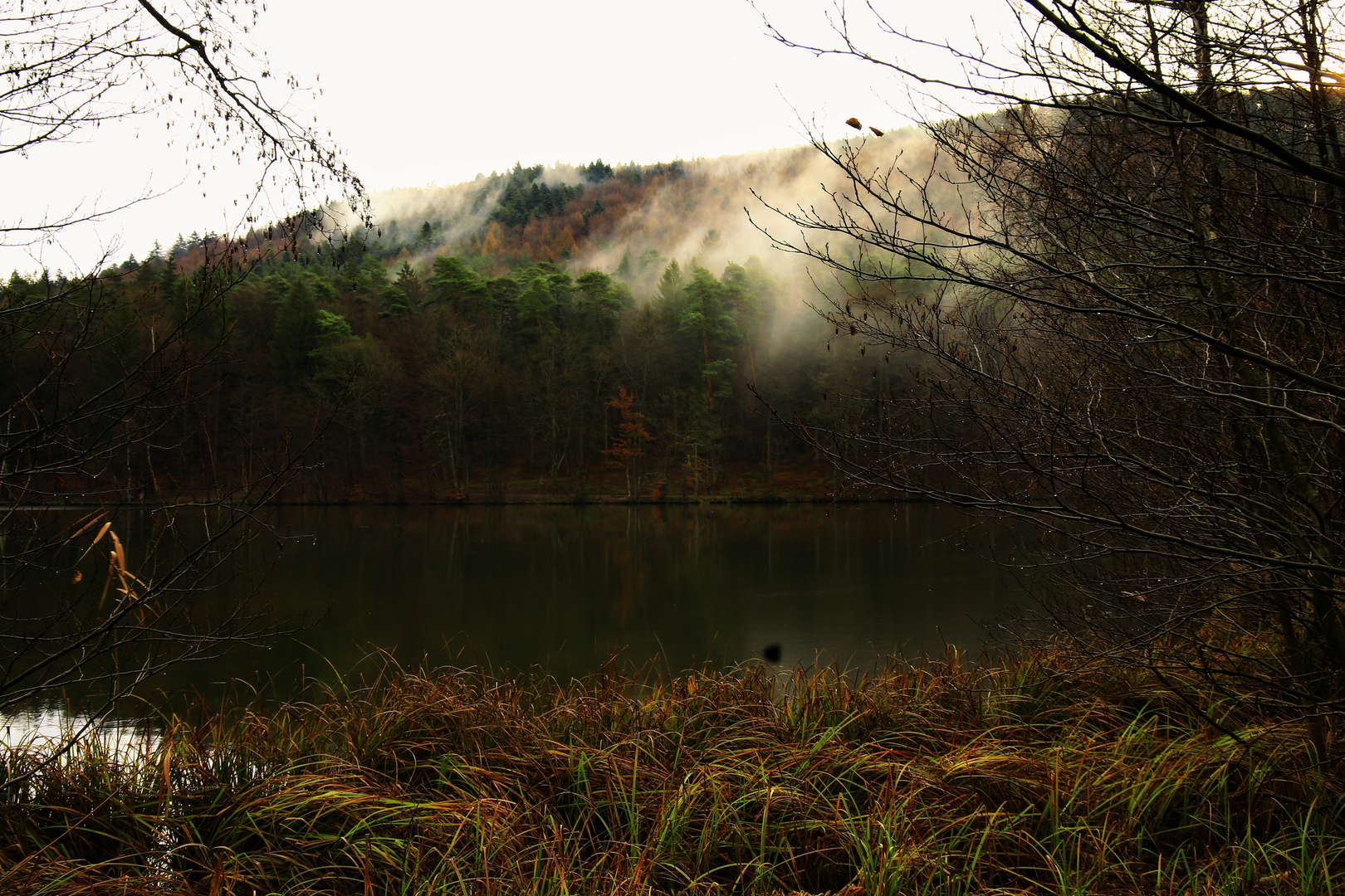 Aufsteigender Morgennebel am Seehof am 7.1.16 bei Erlenbach/ b. Dahn