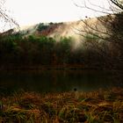 Aufsteigender Morgennebel am Seehof am 7.1.16 bei Erlenbach/ b. Dahn