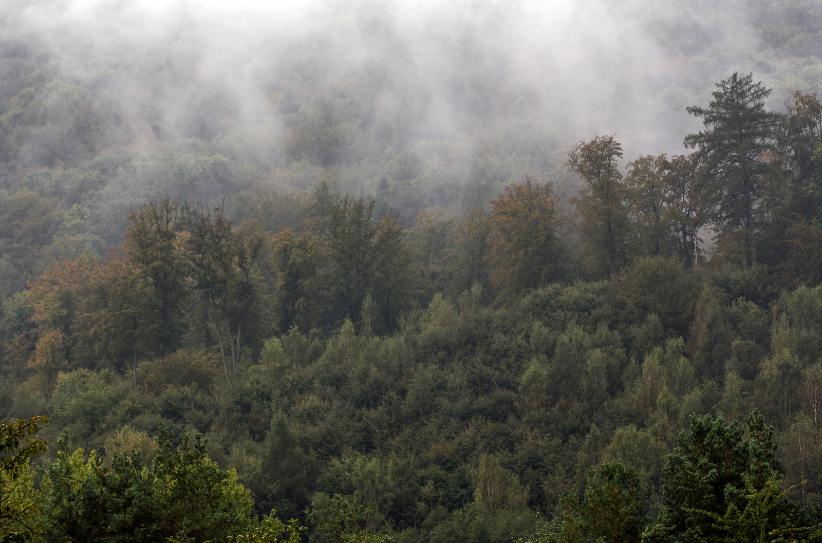 Aufsteigender Nebel