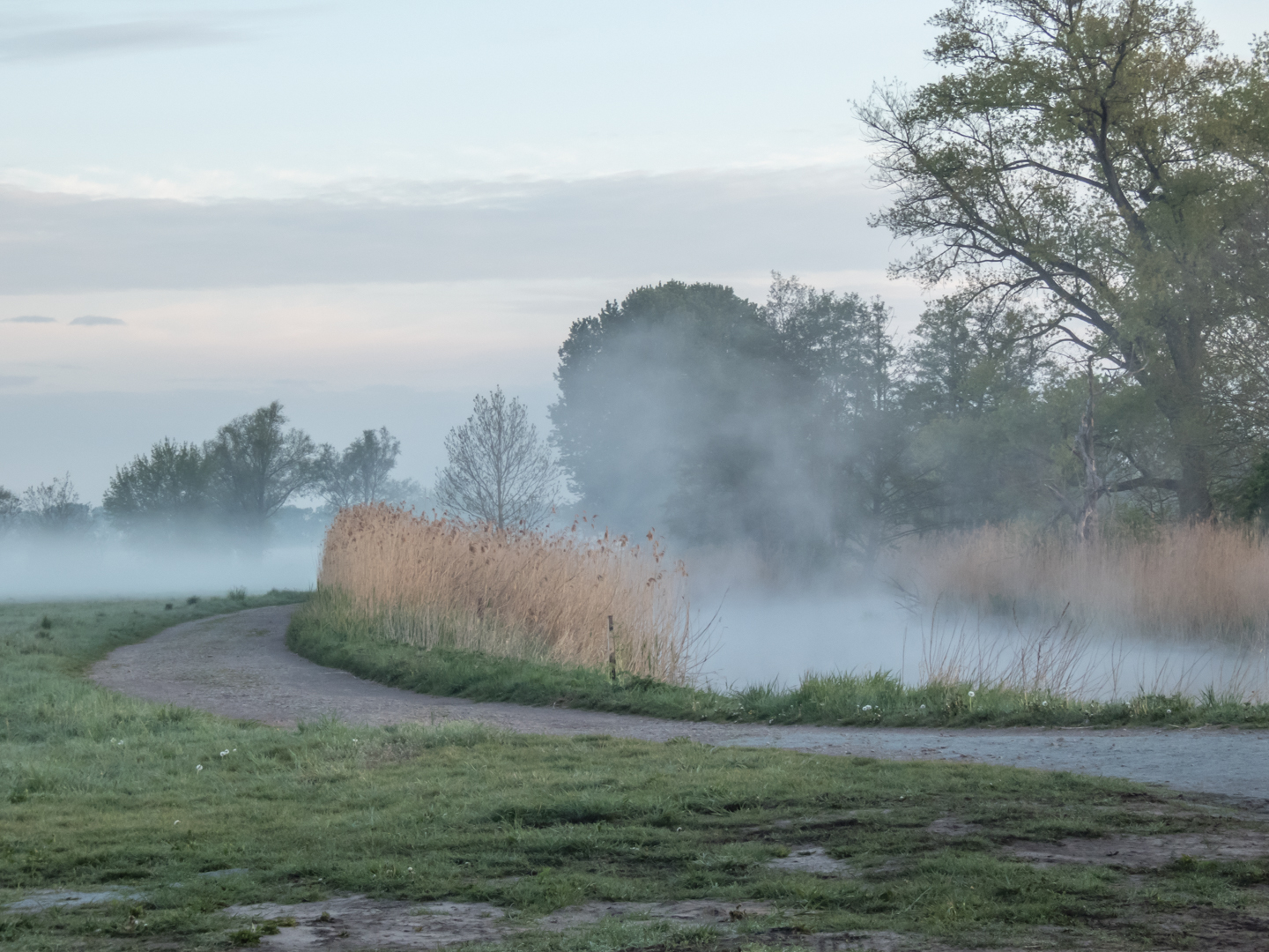 aufsteigender nebel