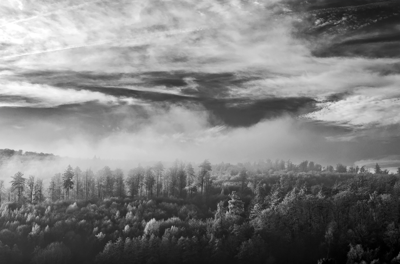 Aufsteigender Nebel