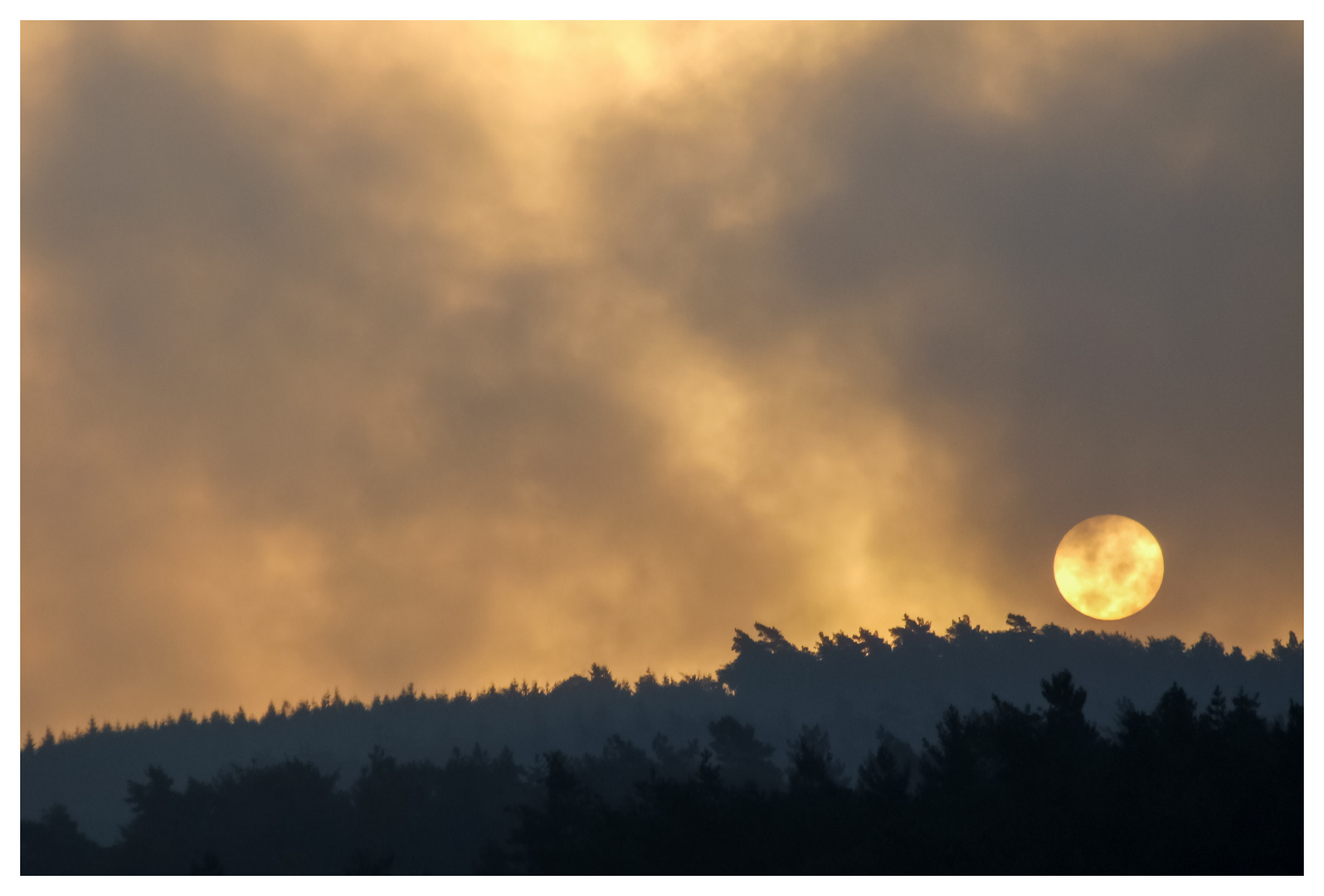 Aufsteigender Nebel