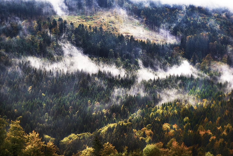 Aufsteigender Nebel