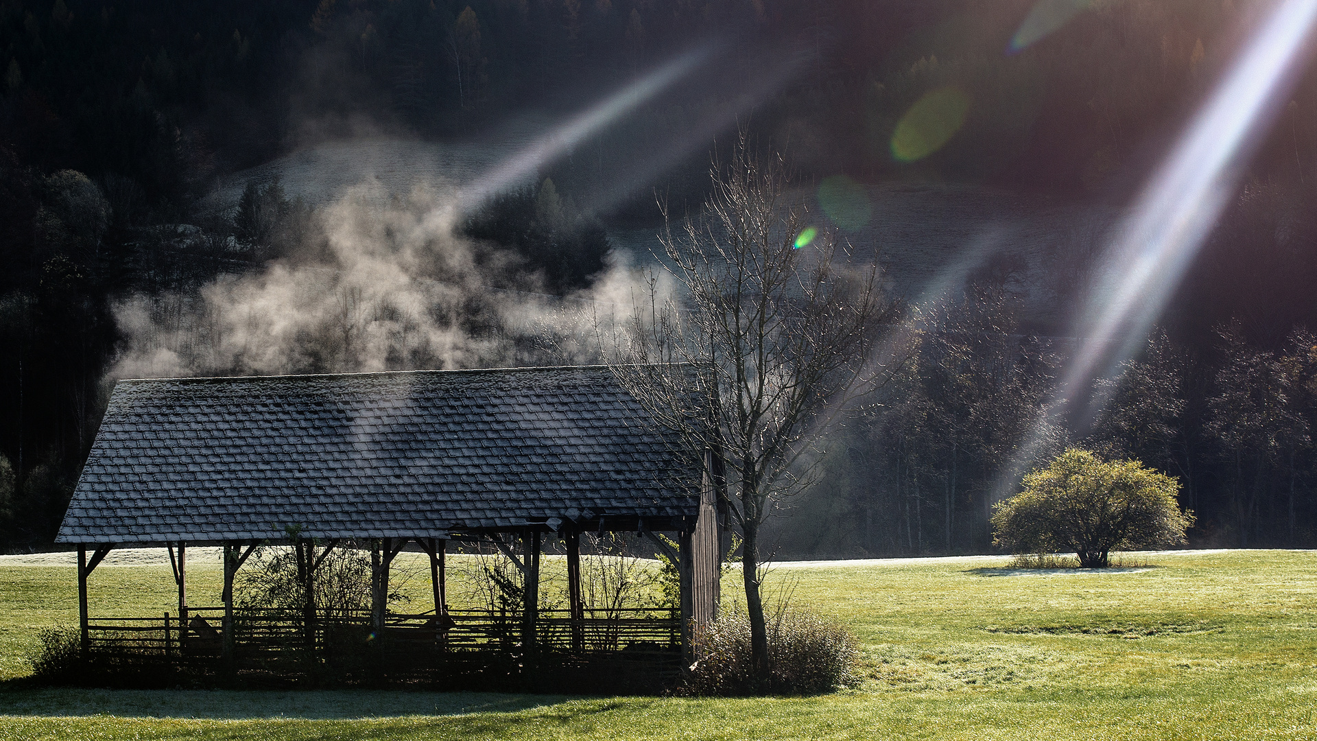 Aufsteigender Nebel