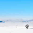 Aufsteigender Nebel