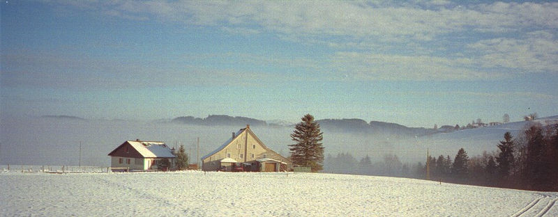 Aufsteigender Nebel