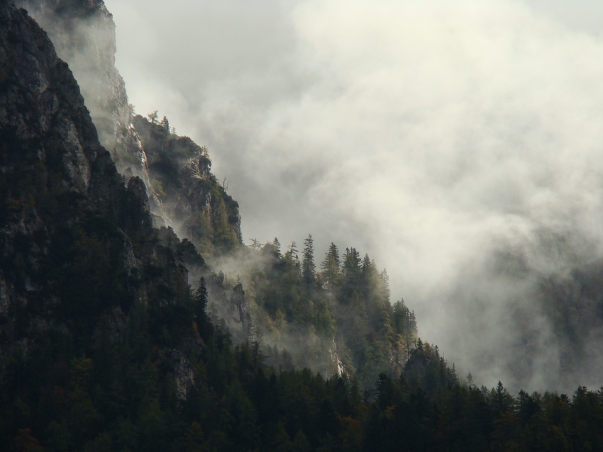 aufsteigender Nebel