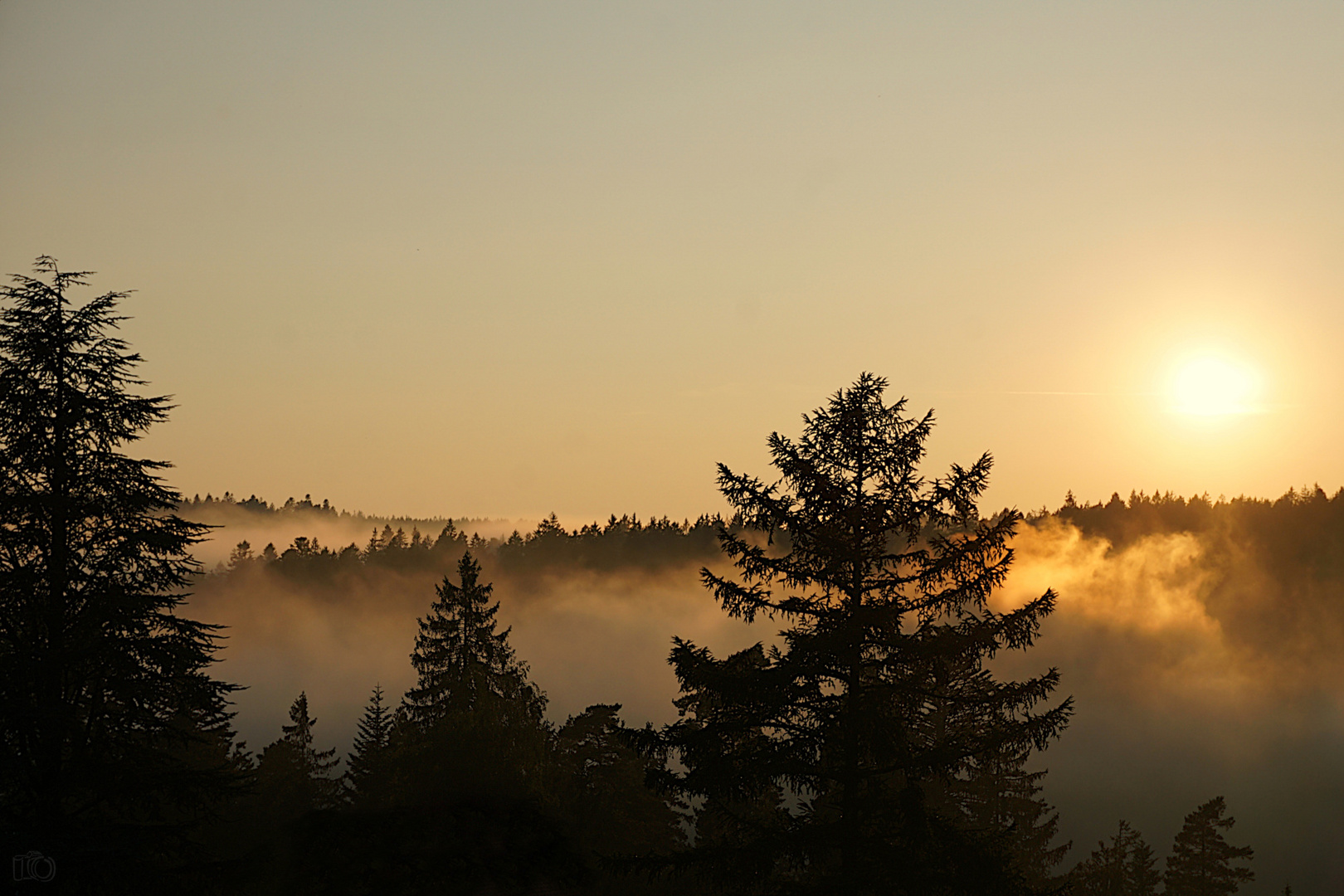 aufsteigender Nebel