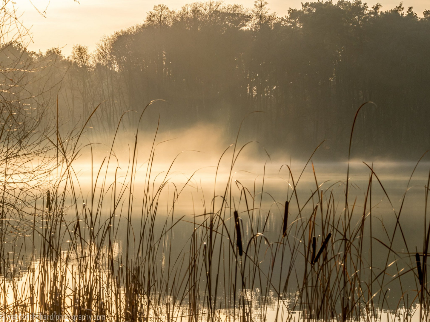 Aufsteigender Nebel