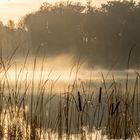 Aufsteigender Nebel