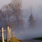 Aufsteigender Nebel in der Abensonne