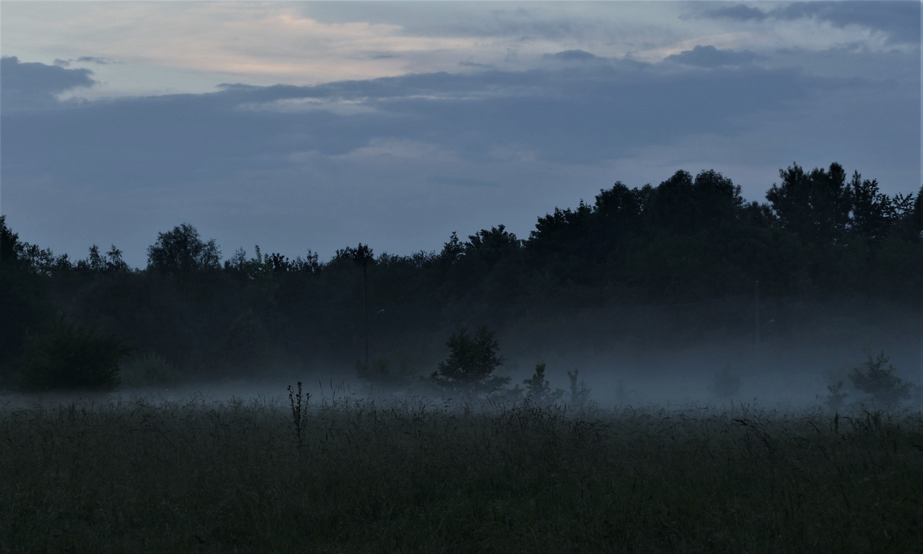 aufsteigender Nebel über den Feldern