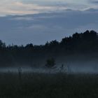 aufsteigender Nebel über den Feldern