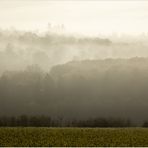 Aufsteigendes Licht... 