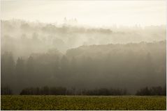 Aufsteigendes Licht... 