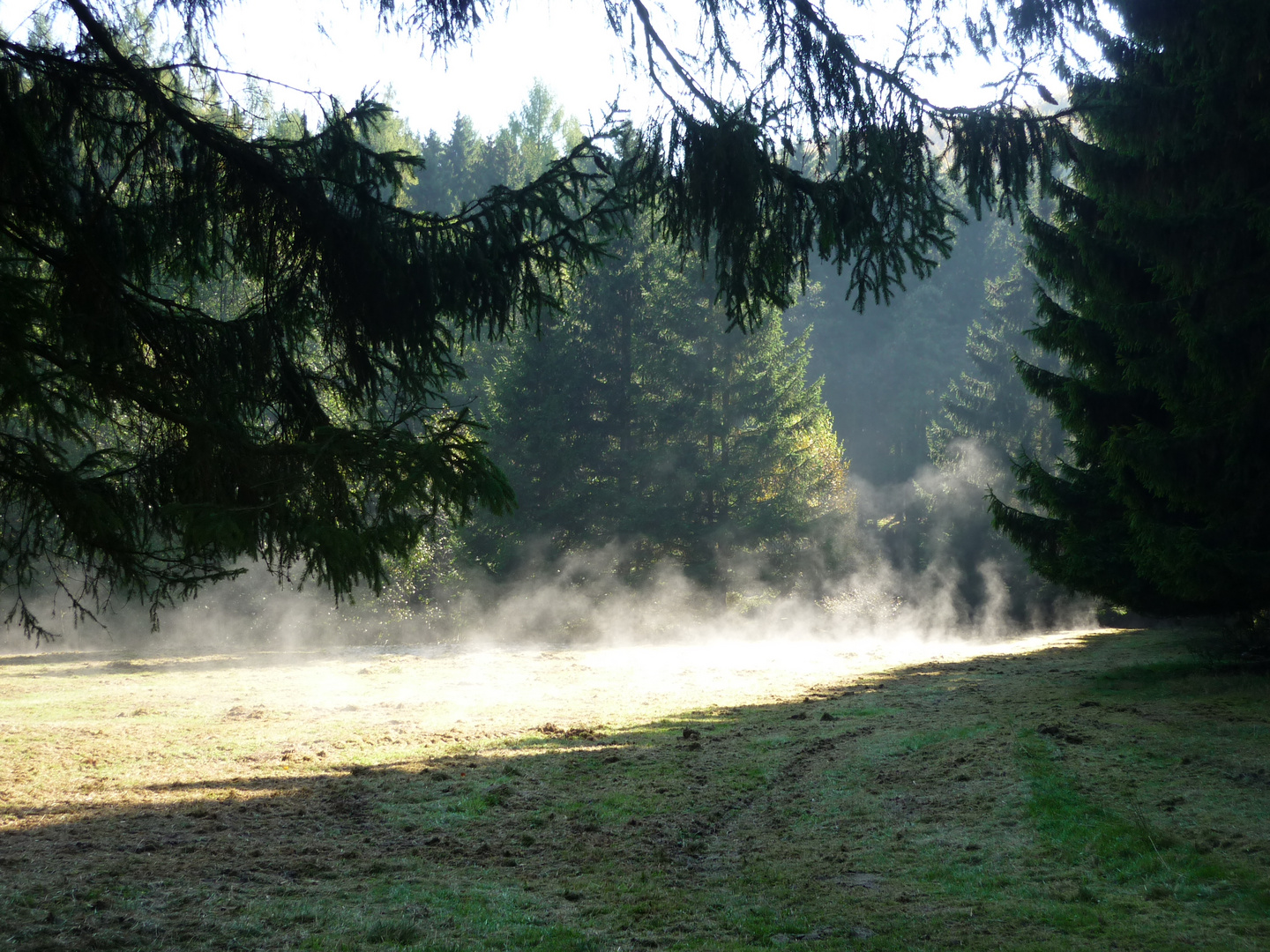 aufsteigendes Wasser