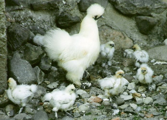 aufstellen fürs Familienfoto