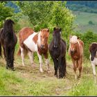 Aufstellen zum Gruppenfoto...