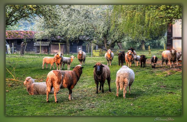 Aufstellung zum Gruppenbild