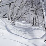 Aufstieg am Hohen Schneeberg