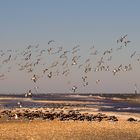 Aufstieg an der Nordsee