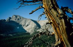 Aufstieg auf den Wheeler Peak 